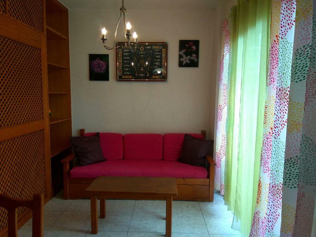 Studio Valle Luz Puerto de la Cruz  Exteriör bild
